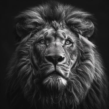 Black and White Lion Painting